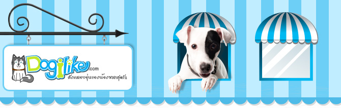 dogilike, ʡչ�����, �������¹�ͧ���, �ѡ������, 12����