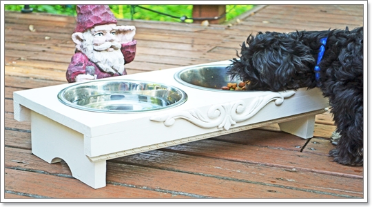 Dogilike.com :: ����������ù�ͧ���Ẻ�����