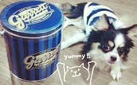 Bourbon kub pom