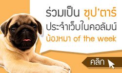 �Ѻ��Ѥ� ��ͧ��� of the week