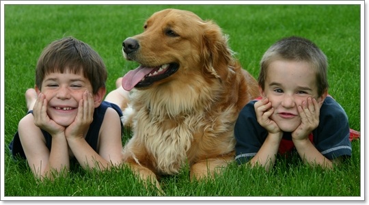 Dogilike.com :: 8 ข้อดีที่เด็กๆ ควรเลี้ยงน้องหมา