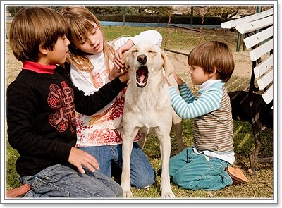 Dogilike.com :: 8 ข้อดีที่เด็กๆ ควรเลี้ยงน้องหมา