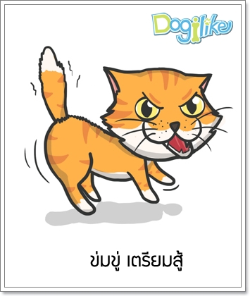 Dogilike.com :: ภาษากาย “น้องหมา” กับ “น้องแมว” สื่อสารต่างกันอย่างไร