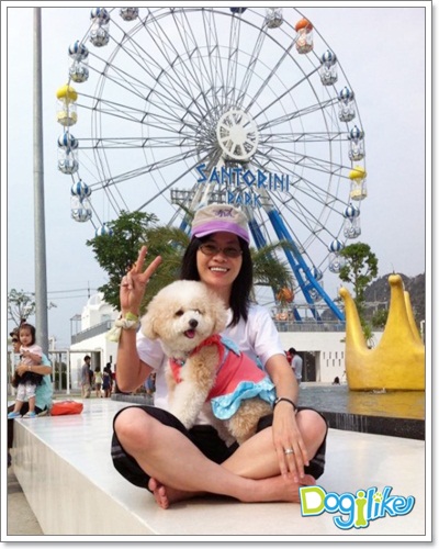 Dogilike.com :: รวมภาพน้องหมาเที่ยวทั่วไทย