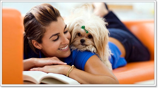 Dogilike.com :: มาดูน้องหมาบอกรักผ่านภาษากายกัน Dogilike.com :: มาดูน้องหมาบอกรักผ่านภาษากายกัน