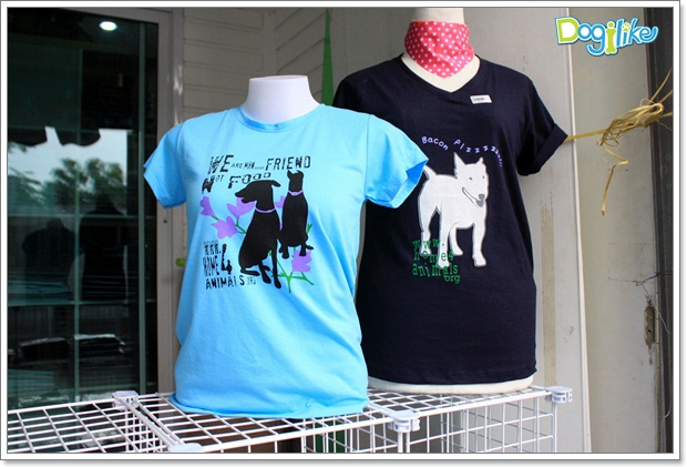 Dogilike.com :: ����ҡ�ȧҹ�������ͧ��� ���駷�� 2 @ ��ŹԸԺ�ҹʧ�������ѵ��ԡ��