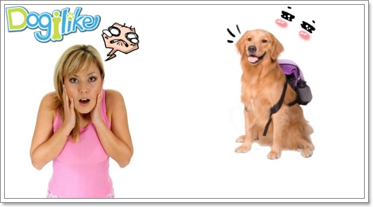Dogilike.com :: ไม่ให้สุนัขคร่อมหรือกระโจนใส่