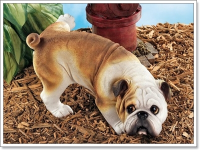 Dogilike.com :: ทำไมสุนัขชอบปัสสาวะใส่ยางรถ?