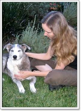 Dogilike.com :: เรกิ สัมผัสบำบัด เพื่อน้องหมาสุดรัก [ตอนที่ 1]