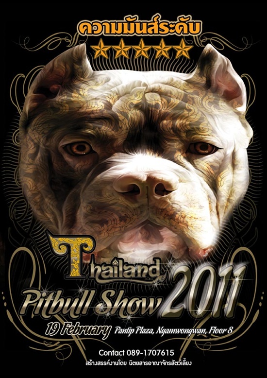 Dogilike.com :: ����Ť��ѡ Pitbull ��� �Thailand Pitbull Show 2011�