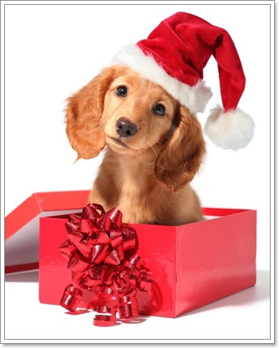 Merry Christmas Wallpaper on Dogilike Com Merry X Mas
