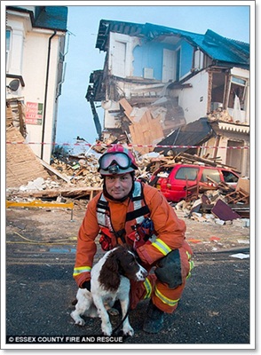 Dogilike.com :: น้องหมาฮีโร่! ดมกลิ่นหาผู้รอดชีวิตจากแก๊สระเบิด