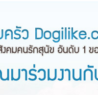 ��ͺ���� Dogilike.com ���䫵��ѧ�����ѡ�عѢ �ѹ�Ѻ 1 �ͧ��*

�Դ�͡�����س�������ҹ�Ѻ��������ѹ���!!