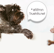 * ʶԵԨҡ

Truehits.net