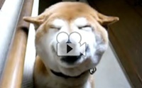 �Ҵ�����!! �ٺ�����