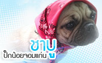  �Һ� ��꡹��¨����
