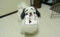 �ô�ѧ�����!! ����ع�ͺ����ͧ