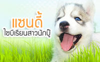 ᫹��� 䫺����¹��ǹѡ��� 