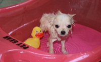 �Һ����١�عѢ�ѧ����١�Ը�