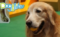 Dogilike ������Ǿҷ���� PET EXPO 2012 �͹��� 1