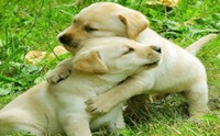 �ҡʹ�ѹ˹��� >o<