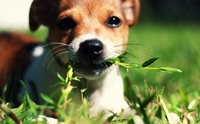 ����ѡ�ҵ���ͧ�ͧ�عѢ �͹ �عѢ�Թ˭��
