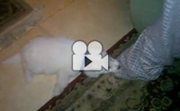 ˹���ҡ�� �ʹ���˹ٹ��!!