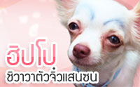 �Ի� �����ҵ�Ǩ����ʹ��