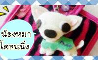 ��꡵���ҹ��� �Դ������µ��