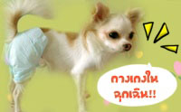 �ҧࡧ㹩ء�Թ!!