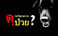 �عѢ�� !! (����) ���л��� ?