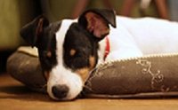 ���ҧ�Թ�����㹺�ҹ����ͧ��Ҵ��¡�� 