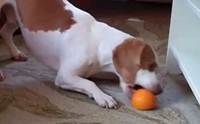 ��Ի����ѡ! ������������ �ʹ��Ҫ�������ҹ 