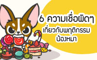 6 �������ͼԴ� ����ǡѺ�ĵԡ�����ͧ��� [Infographic]