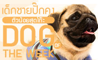 �硪�»�ꡤا ��ǹ����ش���