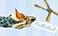 �չ��֧�ѹ��