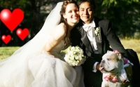 �Ҿ����ѡ� Dog in wedding