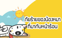 ������¢ͧ��ͧ��� ����ҡѺ˹����͹ [Infographic]