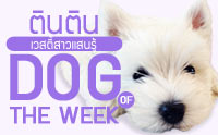 �Թ�Թ ��ʵ������ʹ���