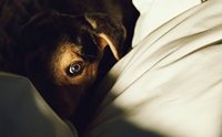 �ҡ�� Phobia 㹹�ͧ��� ... ����ͧ����Ƿ���Ҩ�Ҵ���֧