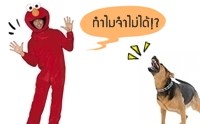 ����!? �������Ңͧ�觵������¹仹�ͧ��Ҷ֧�������