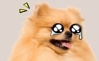 ����ҹ��عѢ