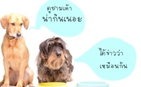 �֡����º��áԹ