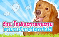 ��ǹ �������ʹ��� ��¨����ҧ��š��ѹ��