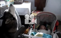 �ŧ������ҡ�ٺ���ͷ�á����