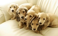 �ҧἹ���Ź�ͧ��ҡ�͹����ͧ��ҵ�駷�ͧ