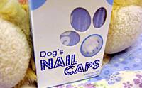 Review Dog's Nail Caps ��͡�������Ѻ��ͧ���