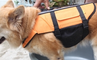 REVIEW : ����ͪ٪վ�عѢ
