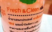 REVIEW : ����ҷӤ������Ҵ�͹����ʧ�� Fresh & Clean
