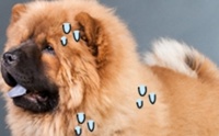 7 ��觹�ҡ��� ������عѢ��ǹ (2)